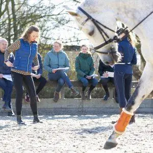 Lezing Ruitervoorkeuren door Suzanne Heemskerk