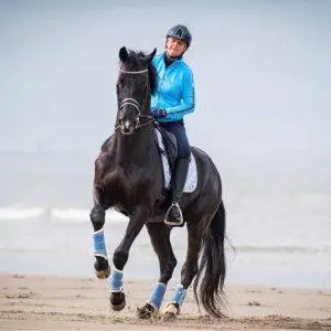 Proefgerichte dressuurclinic door Janine van Oosterum