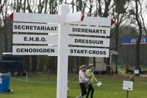button algemene informatie